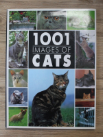 1001 images of cats