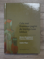 Andrei Plesu - Cele mai frumoase pagini de intelepciune biblica
