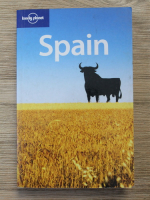 Damien Simonis - Spain