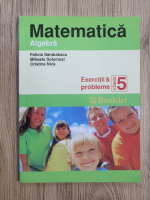 Felicia Sandulescu - Matematica. Algebra. Exercitii si probleme, clasa a V-a
