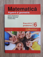 Felicia Sandulescu - Matematica. Algebra si geometrie. Exercitii si probleme, clasa a VI-a