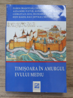 Florin Drasovean - Timisoara in amurgul Evului Mediu