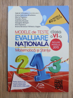 Gabriel Vrinceanu - Modele de teste. Evaluare nationala. Matematica si stiinte, clasa a VI-a