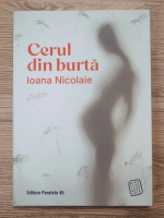 Ioana Nicolaie - Cerul din burta