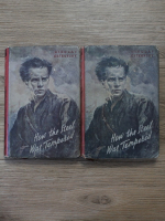 Nikolai Ostrovski - How the steel was tempered (2 volume)