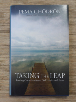 Pema Chodron - Taking the leap