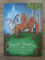 Barbara Rose, Jutta Berend - Poneii norilor, volumul 1. Secretul pietrelor pretioase