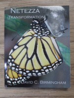David C. Birmingham - Netezza transformation