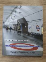 David C. Birmingham - Netezza underground