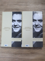 Ian Gibson - Vida, pasion y muerte de Federico Garcia Lorca (2 volume)