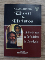 James A. Berstein - Uimit de Hristos. Calatoria mea de la iudaism la ortodoxie