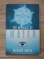 Masaru Emoto - The miracle of water 