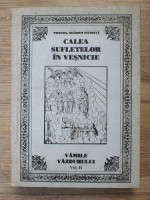 Nicodim Mandita - Calea sufletelor in vesnicie. Vamile vazduhului (volumul 2)