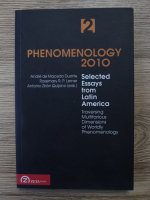 Rosemary R. P. Lerner, Andre De Macedo Duarte - Phenomenology 2010 (volumul 2)