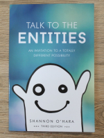Shannon O Hara - Talk to the entities. An invitation to a totally different possibility