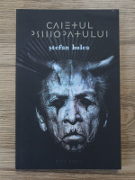 Stefan Bolea - Caietul psihopatului