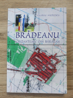 Valeriu Nicolescu - Bradeanu. Crizantema din Baragan