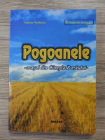 Anticariat: Valeriu Nicolescu - Pogoanele. Orasul din Campia Buzaului
