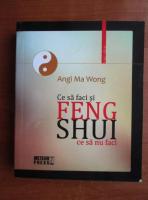 Angi Ma Wong - Feng Shui 