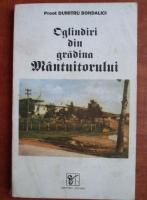 Dumitru Bondalici - Oglindiri din gradina Mantuitorului
