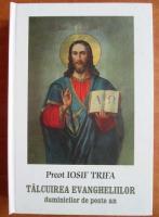 Iosif Trifa - Talcuirea Evangheliilor duminicilor de peste an