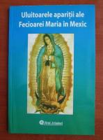 Uluitoarele aparitii ale Fecioarei Maria in Mexic