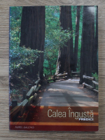 Aurel Galchis - Calea ingusta. Predici
