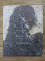Dinu Flamand - Umbre si Faleze. Ombre e Falesie (editie bilingva)