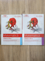Marius Perianu, Florian Dumitrel - Matematica, clasa a IX-a (2 volume)