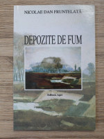 Nicolae Dan Fruntelata - Depozite de fum