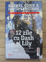 Rachel Cohn, David Levithan - 12 zile cu Dash si Lily