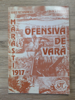 Vasile Alexandrescu - Ofensiva de vara. Marasti 1917