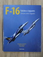 Alexandre Coutinho - F-16, Falcons and Jaguars (editie bilingva)