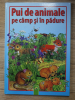 Anne Suess - Pui de animale pe camp si in padure