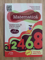 Constantin Basarab - Matematica. Exercitii si probleme pentru clasa a VI-a
