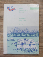 Feeding the ewe