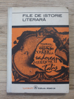 File de istorie literara