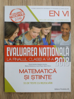 Florin Antohe - Matematica si stiinte. Evaluarea nationala la finalul clasei a VI-a, 55 de teste cu rezolvari