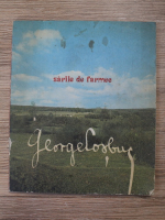 George Cosbuc - Sarile de farmec