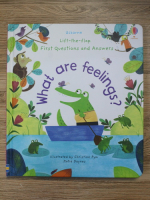 Katie Daynes - Lift the flap. First questions and answers. What are feelings?