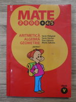 Sorin Peligrad - Aritmetica, algebra, geometrie. Clasa a V-a, partea I
