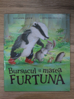 Suzanne Chiew, Caroline Pedler - Bursucul si marea furtuna