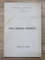 Turul orasului Bucuresti