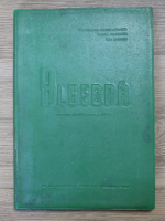 Constantin Ionescu-Bujor - Algebra. Manual pentru clasa a VIII-a