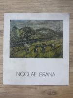 Expozitia retrospectiva Nicolae Brana (album)