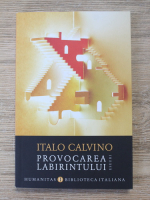 Italo Calvino - Provocarea labirintului