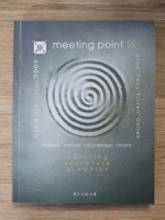 Meeting point. Painting, sculpture, graphics. Arad biennial 2009 (editia 2)