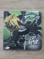 Miraculous. Cat Noir si Oni Chan