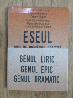 Anca Denisa Petrache - Eseul. Ghid de pregatire practica, bacalaureat (3 volume)