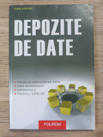 Dinu Airinei - Depozite de date